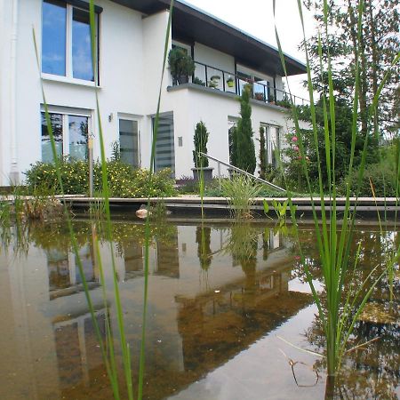Zierenberg Ferienwohnung In Waldrandlage מראה חיצוני תמונה