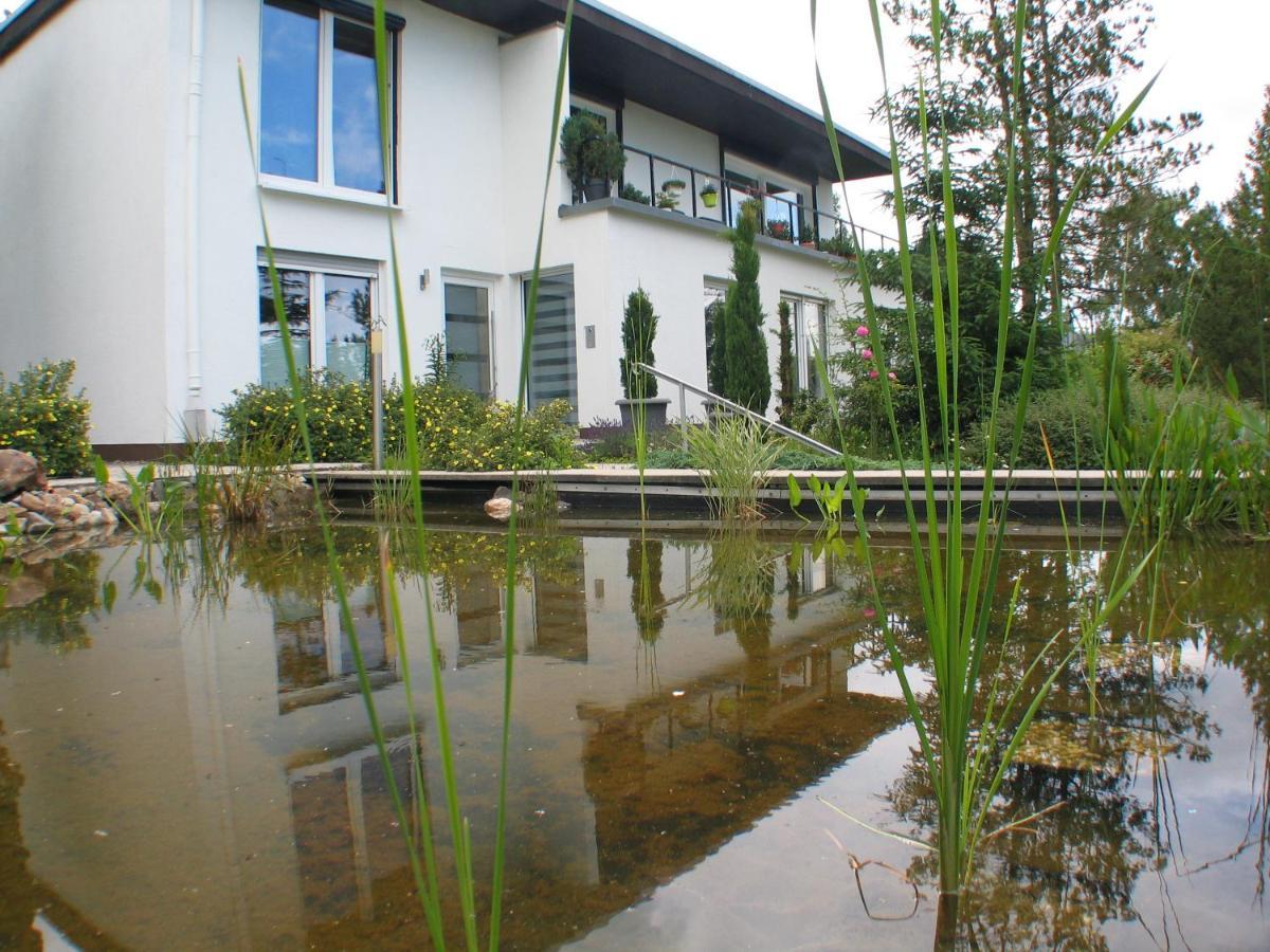 Zierenberg Ferienwohnung In Waldrandlage מראה חיצוני תמונה